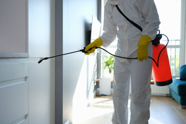 Best Post-Flood Mold Remediation in Thermal, CA